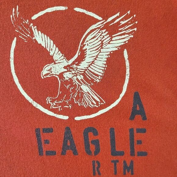 American Eagle Outfitters Men's Rust Vintage Fit Crew Long Sleeve Graphic Tee - Picture 8 of 13